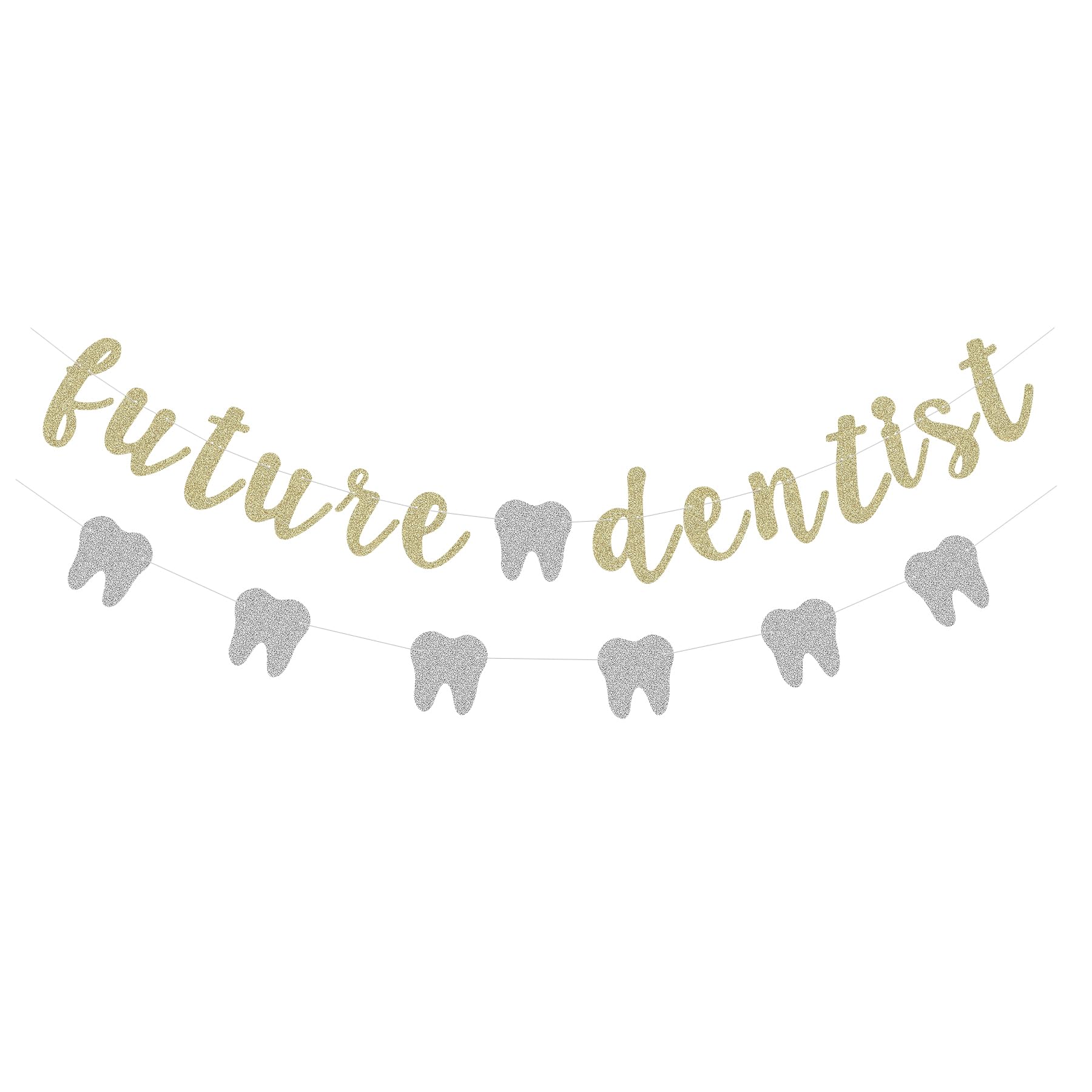 Glitter Future Dentist Banner Medical School Graduation Party Supplies Dessert Bar Bunting with Silver Tooth Shape Garland