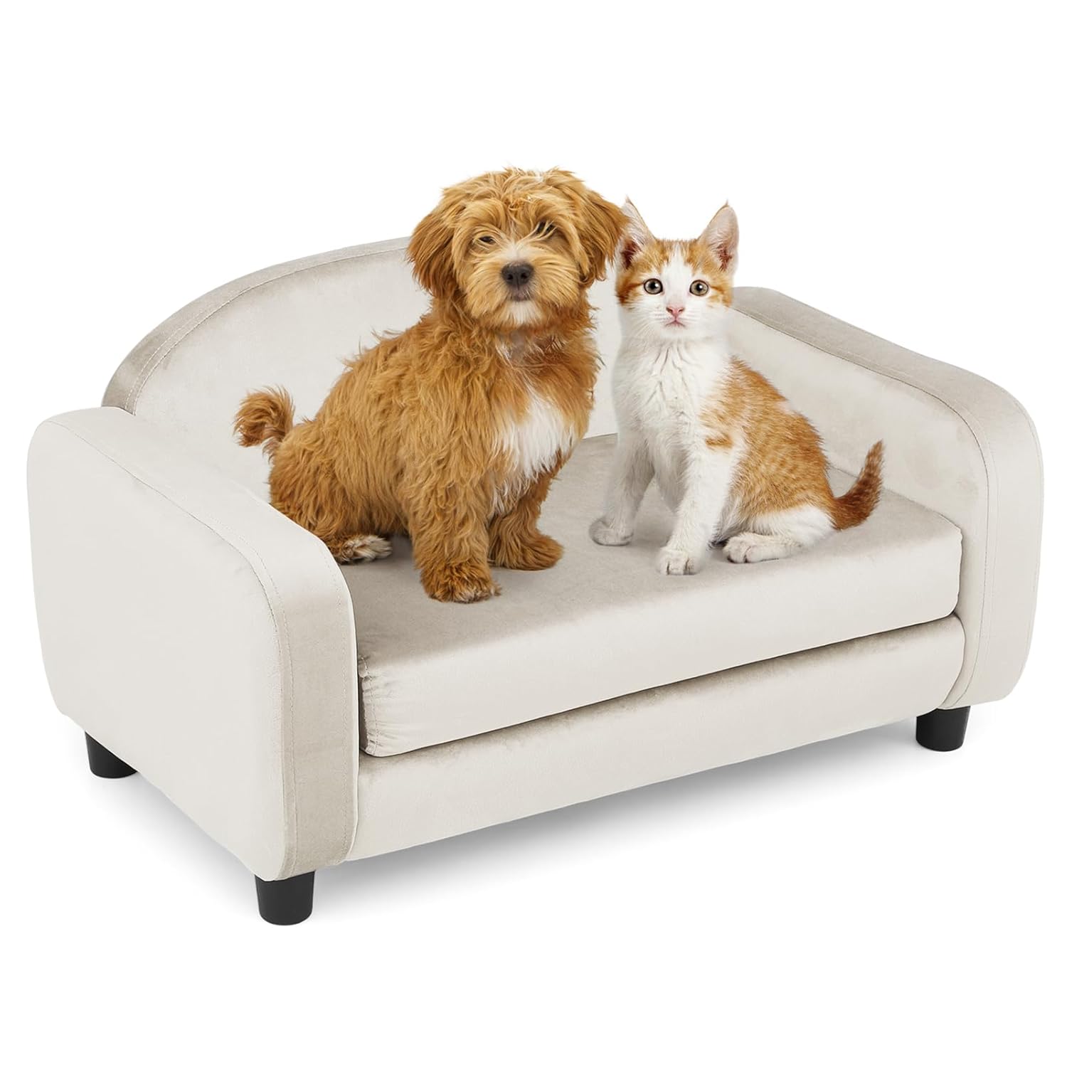 Magshion 28 Inch Dog Sofa Couch for Small Pet, Low Back Modern Velvet Elevated Cat Couch Lounging Beds and Chairs w/Washable Cushion for Dogs up to 25 lbs, Pearl White