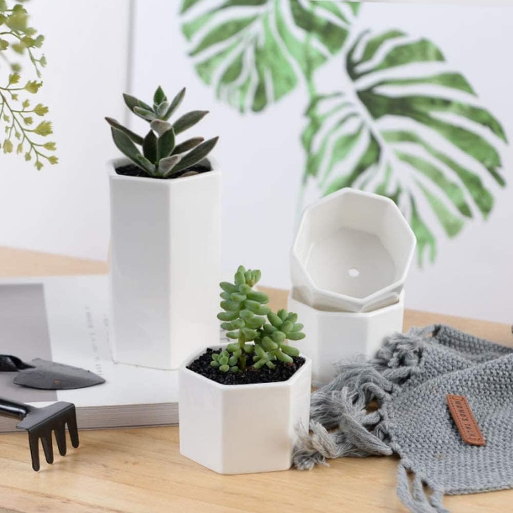 Mała ceramiczna doniczka na sukulenty bonsai urocza biała ceramiczna doniczka w kształcie cylindra z bambusową tacą geometryczne kształty doniczka stół sukulenty doniczka zielona doniczka dekoracja domu (kolor: Wit)