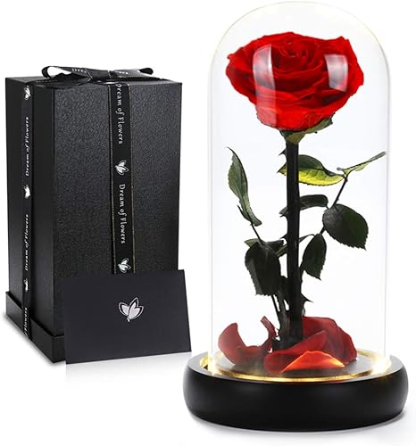 Miniatura 26 de Regalos de cumpleaños para mujer, rosa de la Bella y la Bestia en cúpula de cristal, rosa de seda con luces, regalo para mamá, regalos románticos