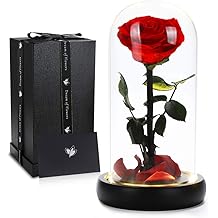 Valentines Day Gifts for Her, Beauty and The Beast Rose,Preserved Real Rose in Glass Dome,Forever Flowers with Warm Lights,Valentines Rose Gifts for Women Wife Mom Girlfriend,Birthday Gifts for Women