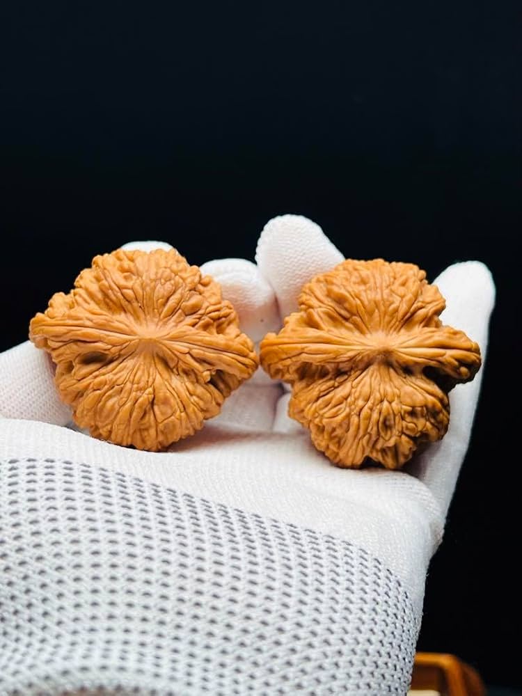 文玩堂：獅虎獣獅子頭（47mm） 文玩堂：獅虎獣獅子頭（47mm） 文玩堂：獅虎獣獅子頭（47mm） その他