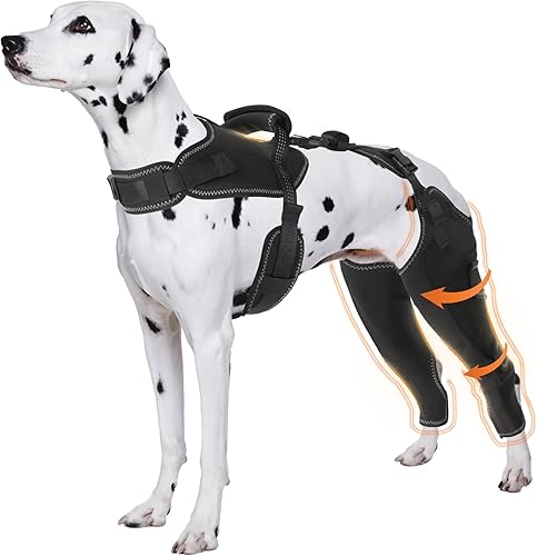 Perro Acl Brace pata trasera  Mantiene las articulaciones calientes y protegidas, piernas y caderas ajustables mejoradas, juego de arnés para la