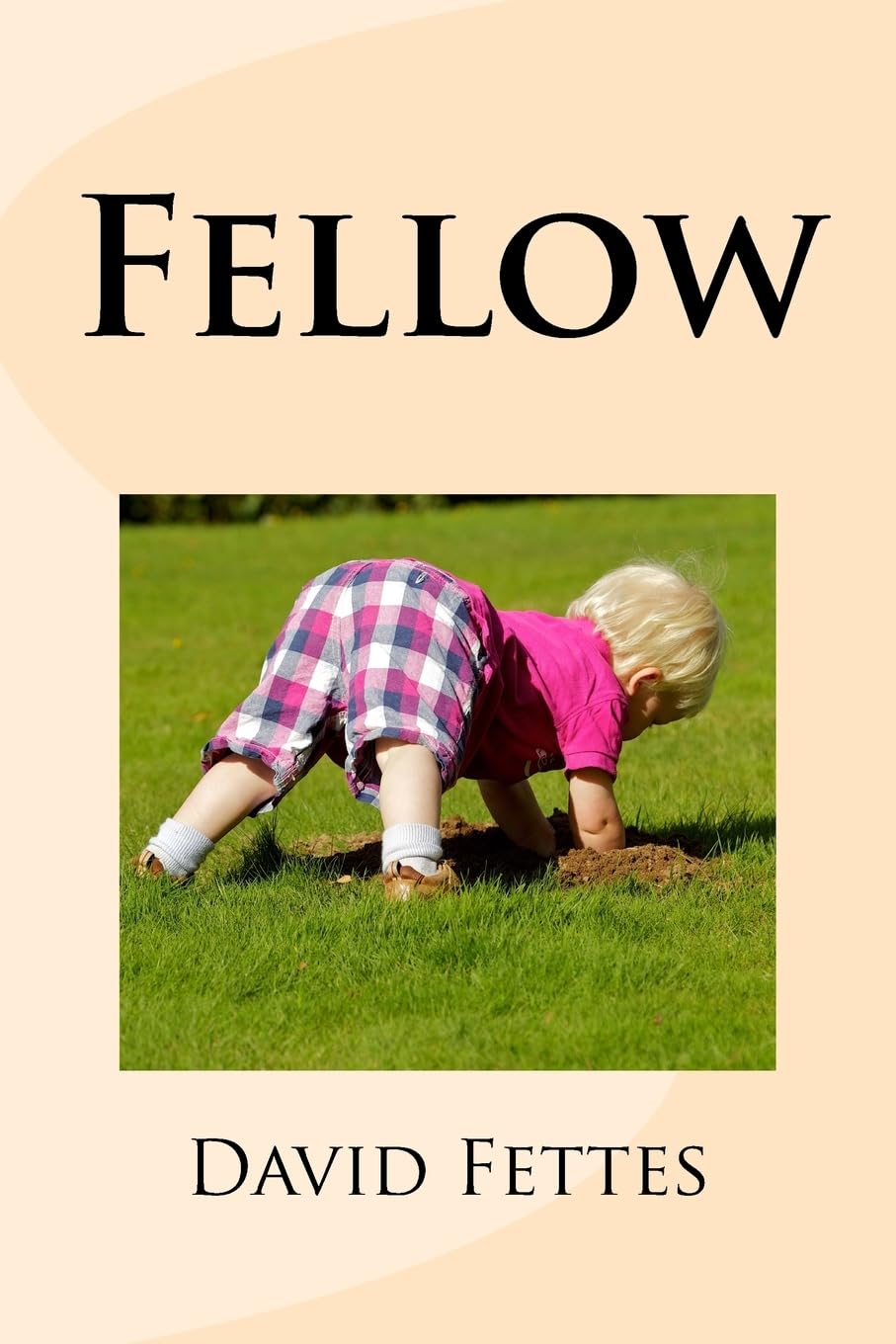 Fellow