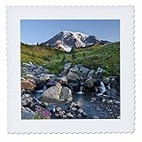 3dRose qs_95231_6 Washington, Mt Rainier NP, Paradise Meadows-US48 CCR0278-Charles Crust-Quilt Square, 16 by 16-Inch