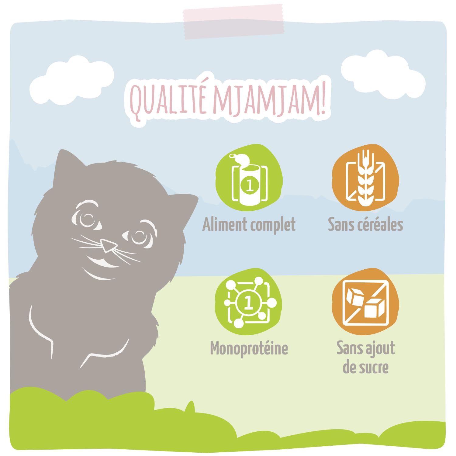 MjAMjAM - nourriture humide premium pour chat - poulet juteux pour chaton à l'huile de saumon, pack de 6 (6 x 400 g), sans céréales avec supplément de viande 2.4 Kilogram