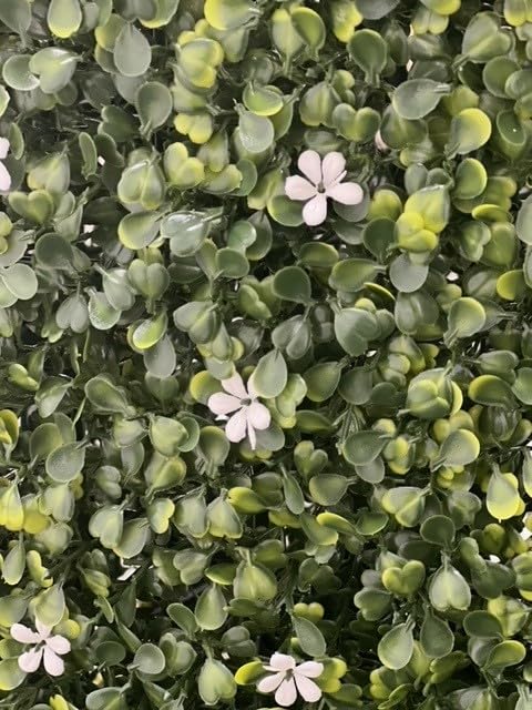 Purchase Green Artificial Ivy - Boxwood