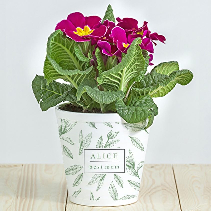 Wanapix | Maceta de Cerámica Personalizada | Regalo para el día de la Madre, Comuniones, Bodas o Bautizos | Jardinera con tu Nombre o Foto | Cerámica | Hojas