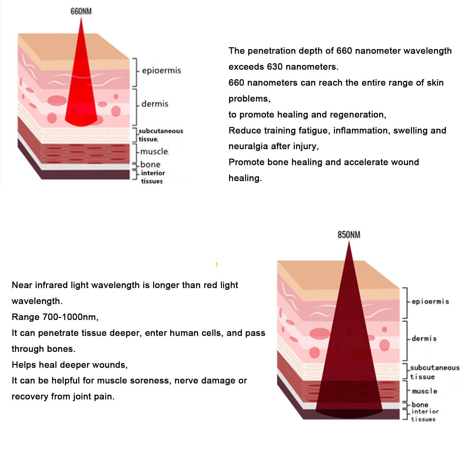 Envoltura de brazo de terapia de luz roja – Dispositivo infrarrojo de 660/850 Nm para alivio del dolor y recuperación, cinturón ajustable para brazos, rodillas, piernas y curación muscular.