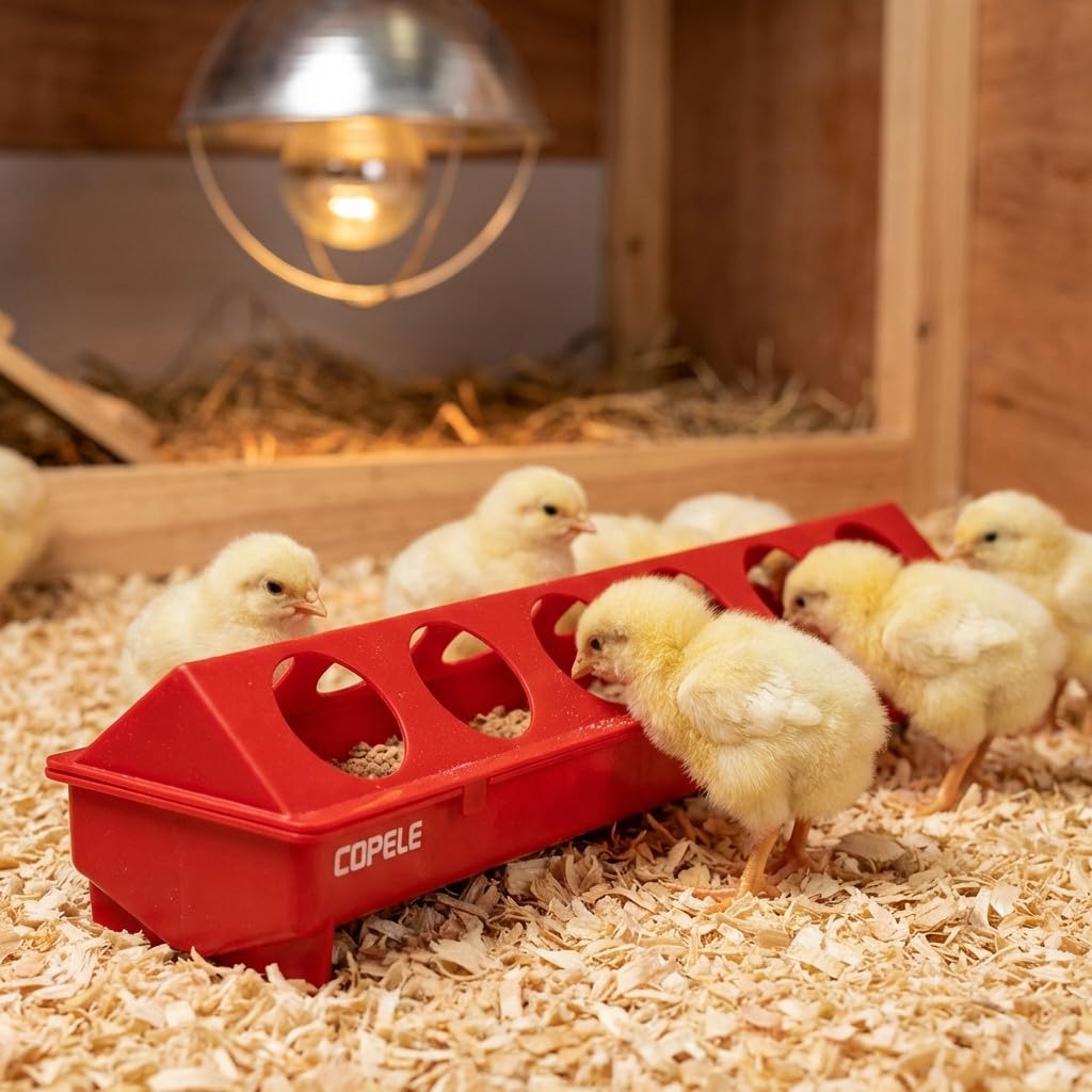 Suinga Pack 4 Mangimi in Plastica per Galline | Con Fori 100x12x13 cm | Mangime per Pulcini di 1ª Età | Canale Anti-Spreco | Ideale per 24 Galline
