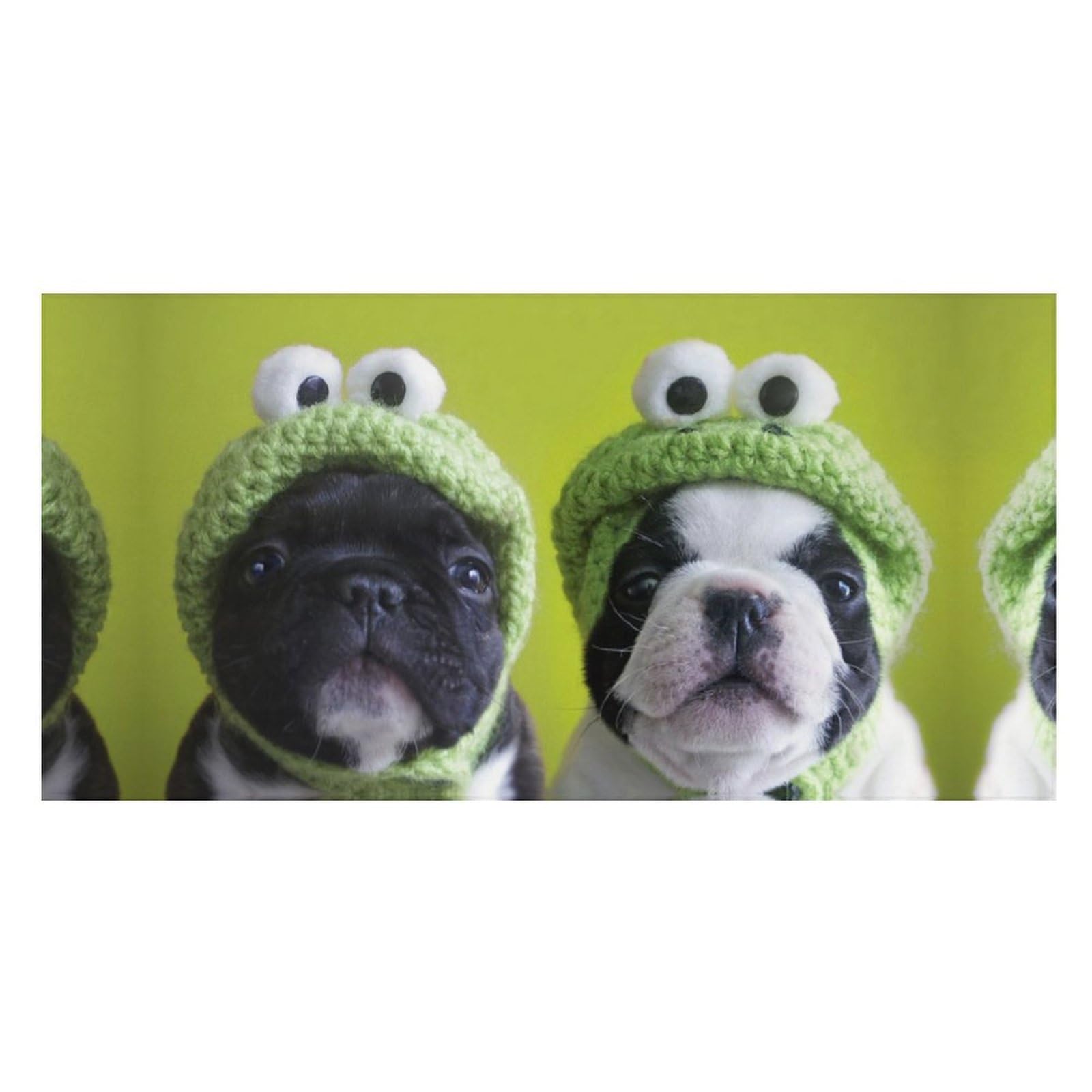 LWORZIIB Beach Towel, French Bulldog with Frog Hat Bath Towel, Pool Towel Great for Gym Swimming 80 X 160cm