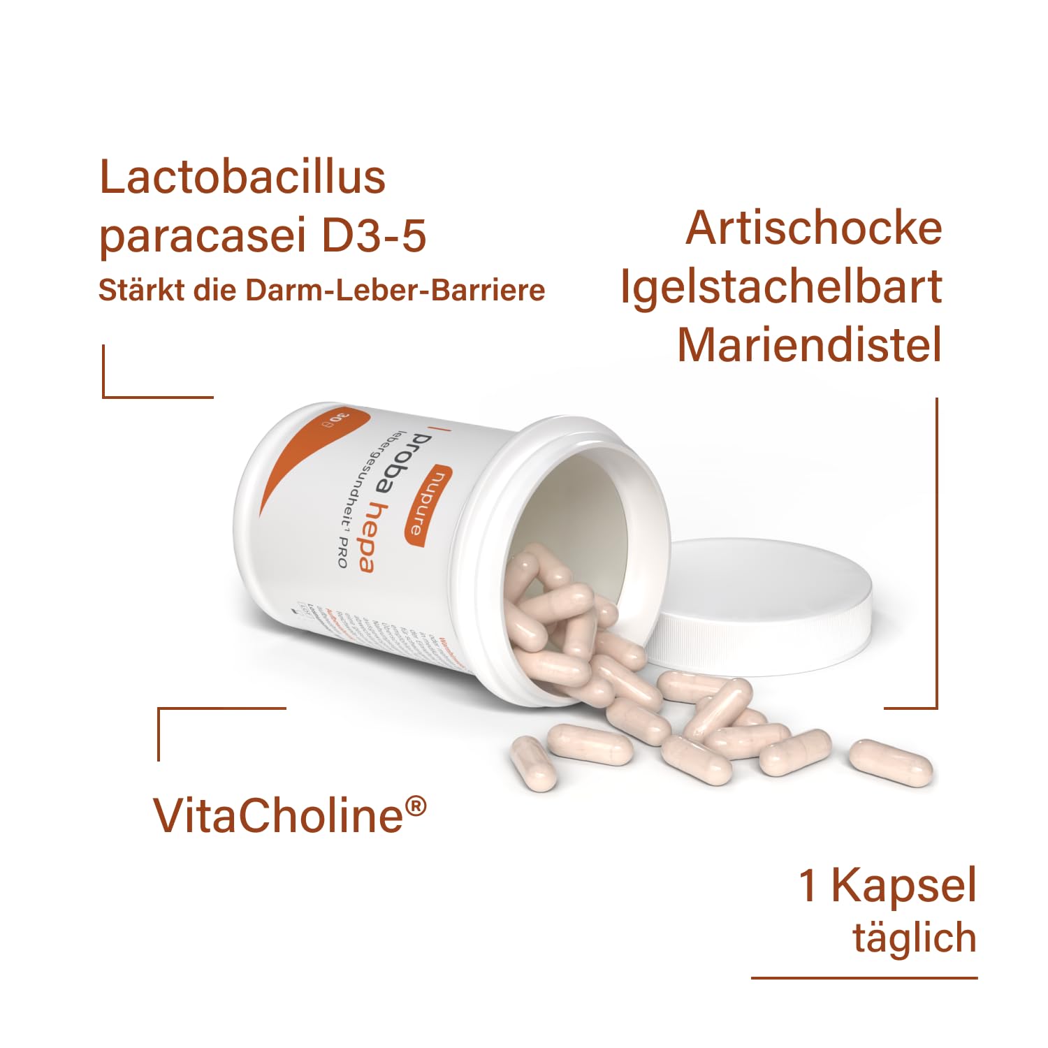 Nupure ProbaHepa Leber Komplex Kapseln – 5-in-1 Formel für Leberfunktion & Stoffwechsel mit Cholin, Mariendistel, Artischocke, Hericium & Lactobacillus