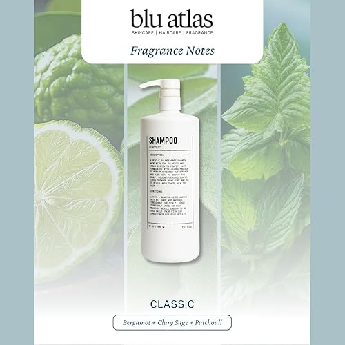 Miniatura 4 de Blu Atlas Champú natural para hombre  Orgánico, sin sulfatos ni parabenos, limpieza profunda e hidratante, aroma clásico (bergamota, salvia,