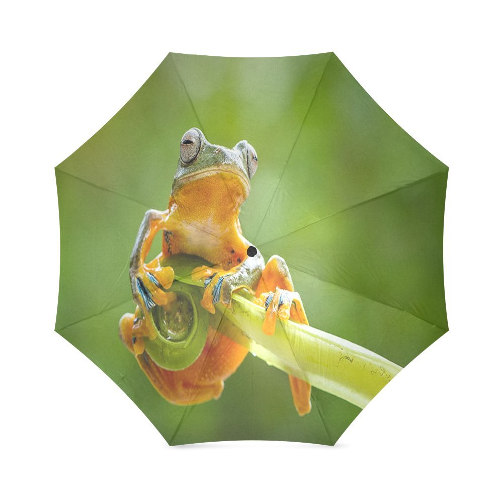 foldable UmbrellaCustom Cute Colorful Tree Frog Compact Travel Windproof Rainproof Foldable Umbrella
