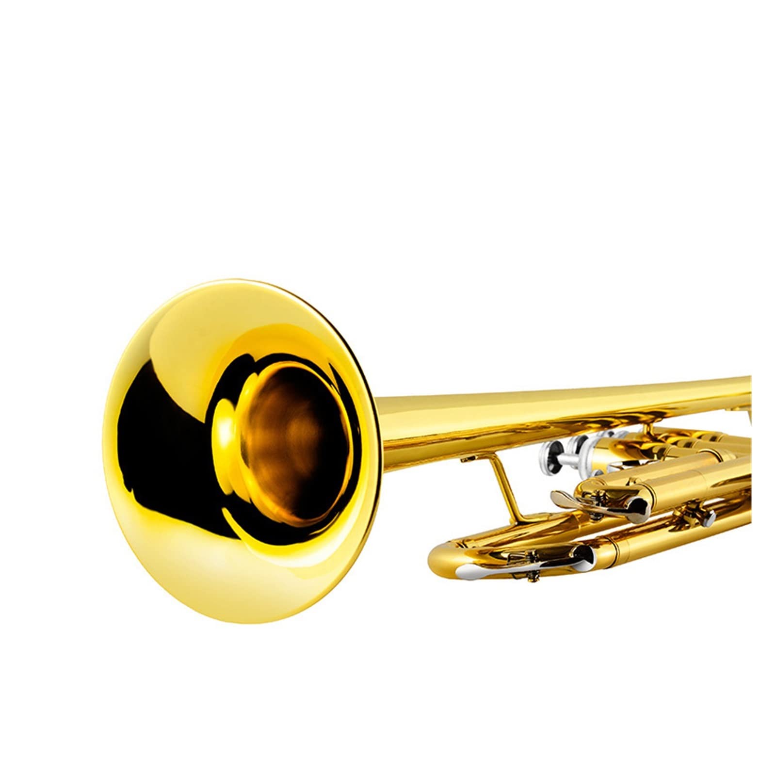 TSTS Strumento A Fiato in Ottone Vernice Gold Standard Tromba in SIB per Principianti per Suonare Ottoni D'esame Tromba Studente