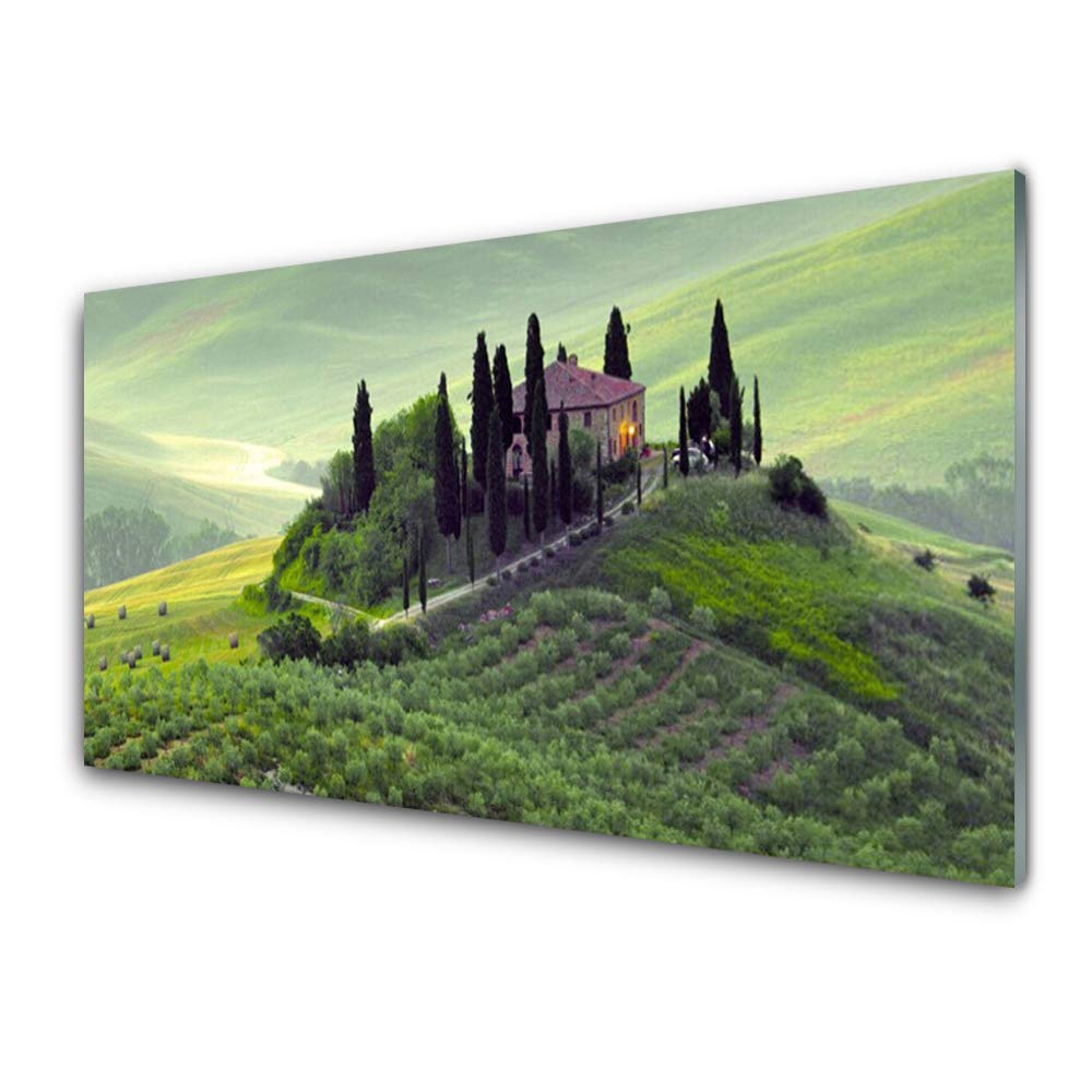 Tableau Verre Trempé Tulup 100x50cm : Solution Déco Murale Anti-Humidité Motif Nature