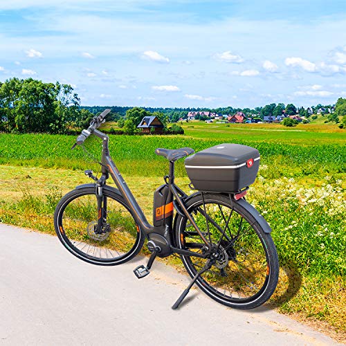 Westmark Fahrradkoffer für alle Gepäckträger, inkl. Befestigungsmaterialien, diebstahlsichere Befestigung, 14 Liter, Touring Tresor, 5430GE6S