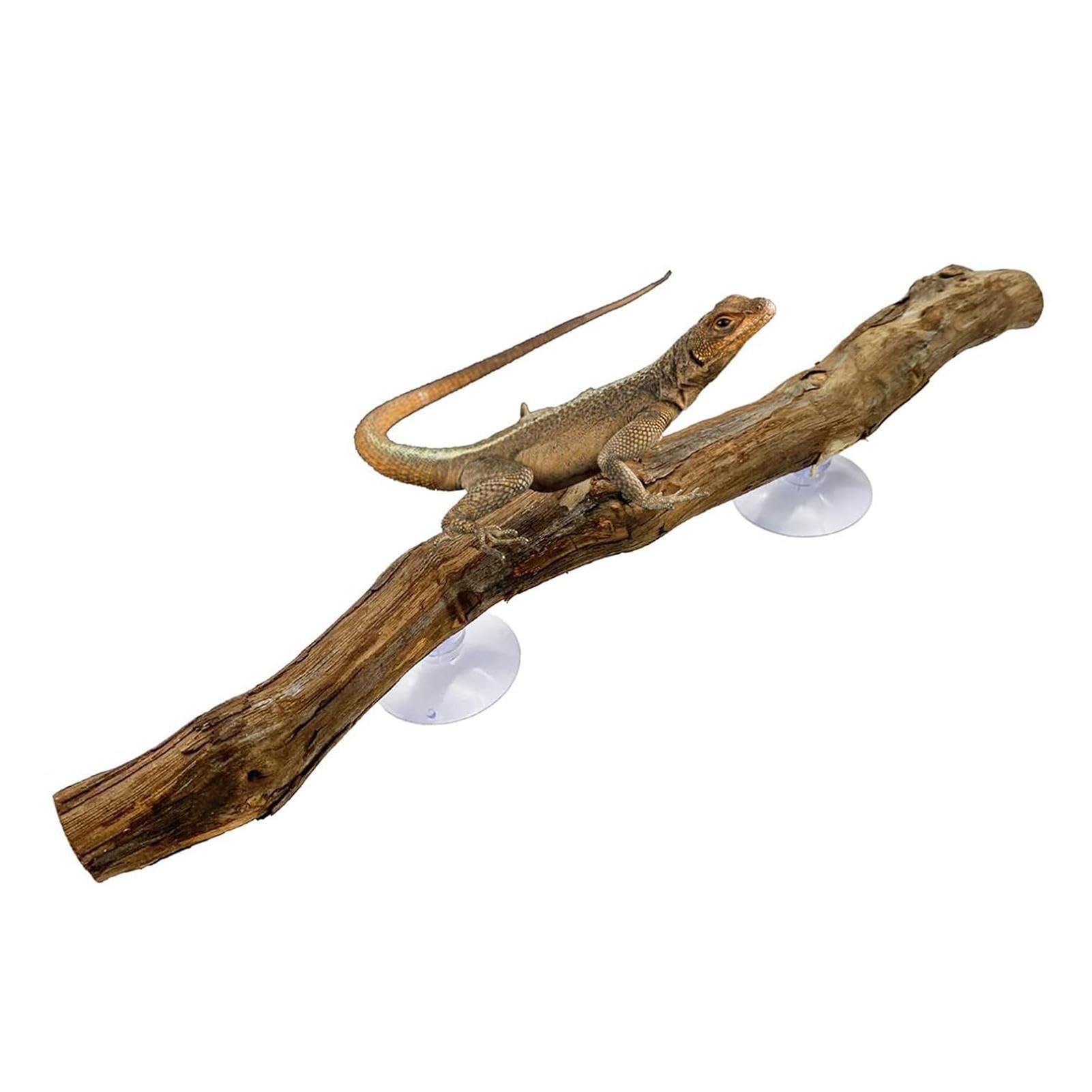 Tronc d'arbre en bois, habitat en bois, branche de reptile | Branches uniques en bois naturel | Ornement de tronc d’arbre en bois | Décorations d'habitat antidérapantes pour serpents, lézards et gecko