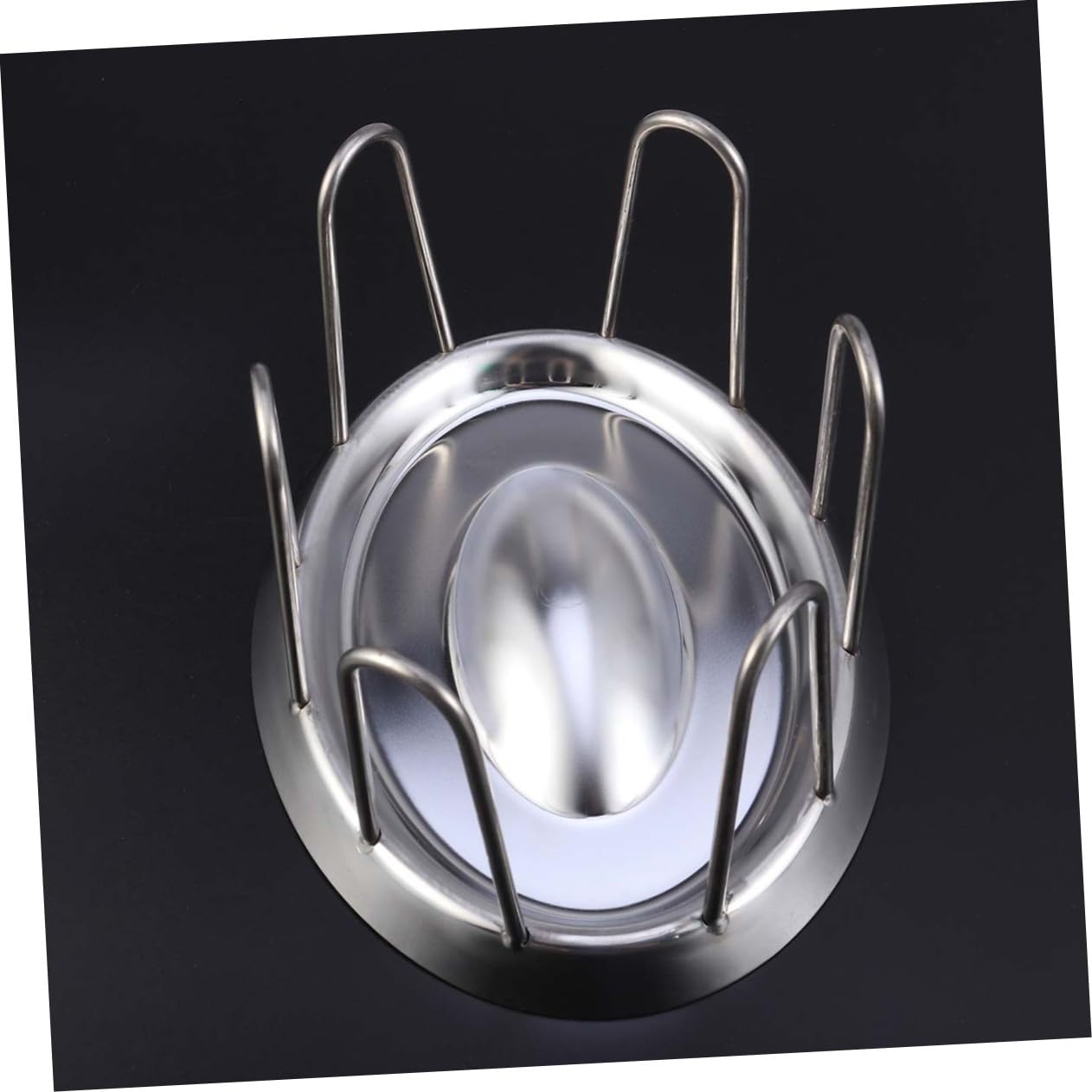 SUPVOX Ciotola per Tartaruga in Acciaio Inossidabile Ciotola per Rettili Mangiatoia Rotonda Forniture per Animali Domestici