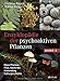 Produktbild Enzyklopädie der psychoaktiven Pflanzen  Band 2: Neue Pflanzen, Pilze, Bakterien. Anwendung. Kulturgeschichte. Botanik, Dosierung, Anbau und Wirkung