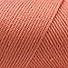 Bulk Buy: Caron Simply Soft Yarn Solids (2-Pack) (Persimmon)