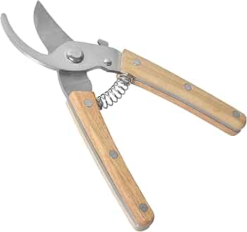 Amazon | KIMINO 剪定バサミ 【2025人気庭師のおすすめ】 花 ハサミ