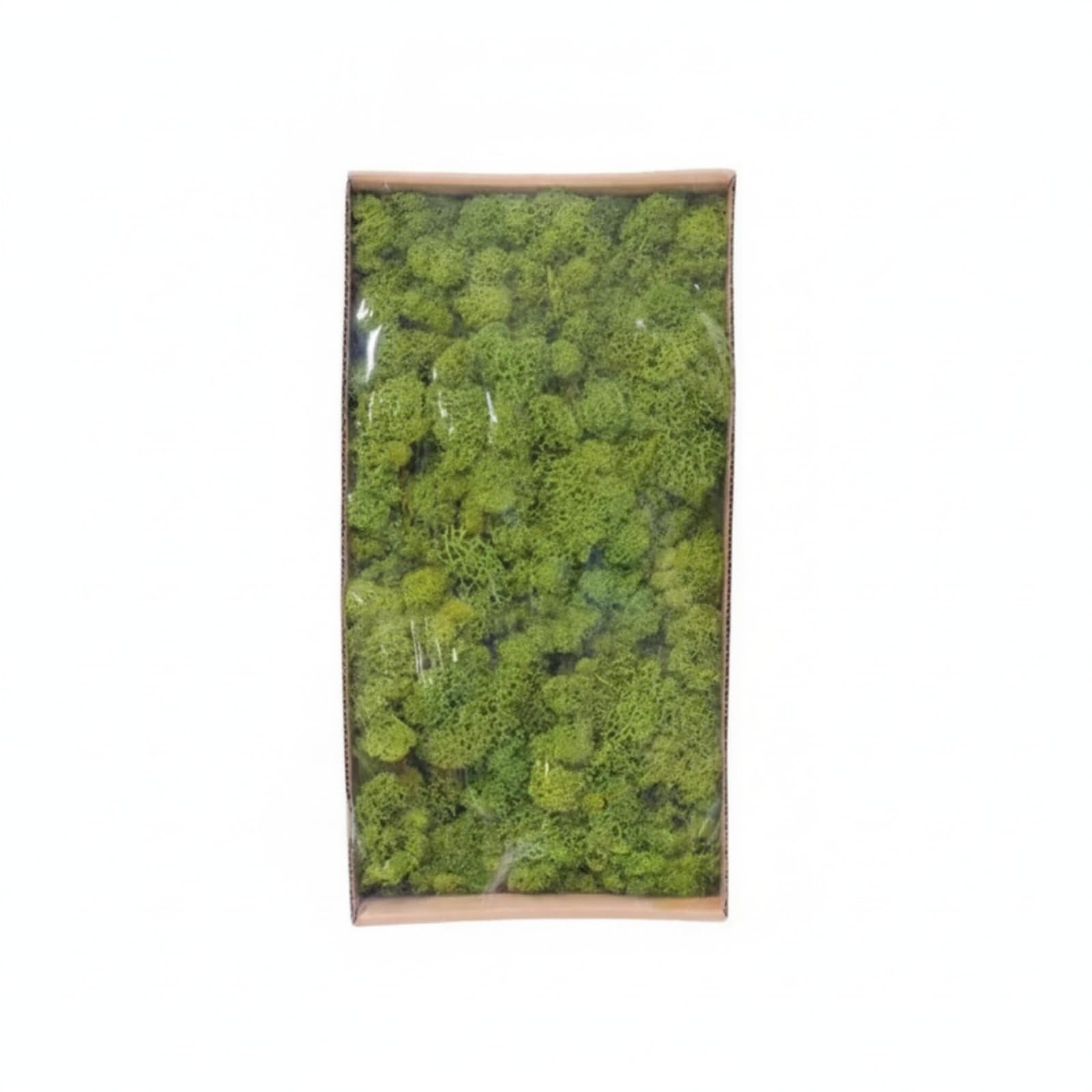 Muschio Stabilizzato Resistente Muschio Decorativo Flessibile Piante per Decoratori, Verde Giallo 4