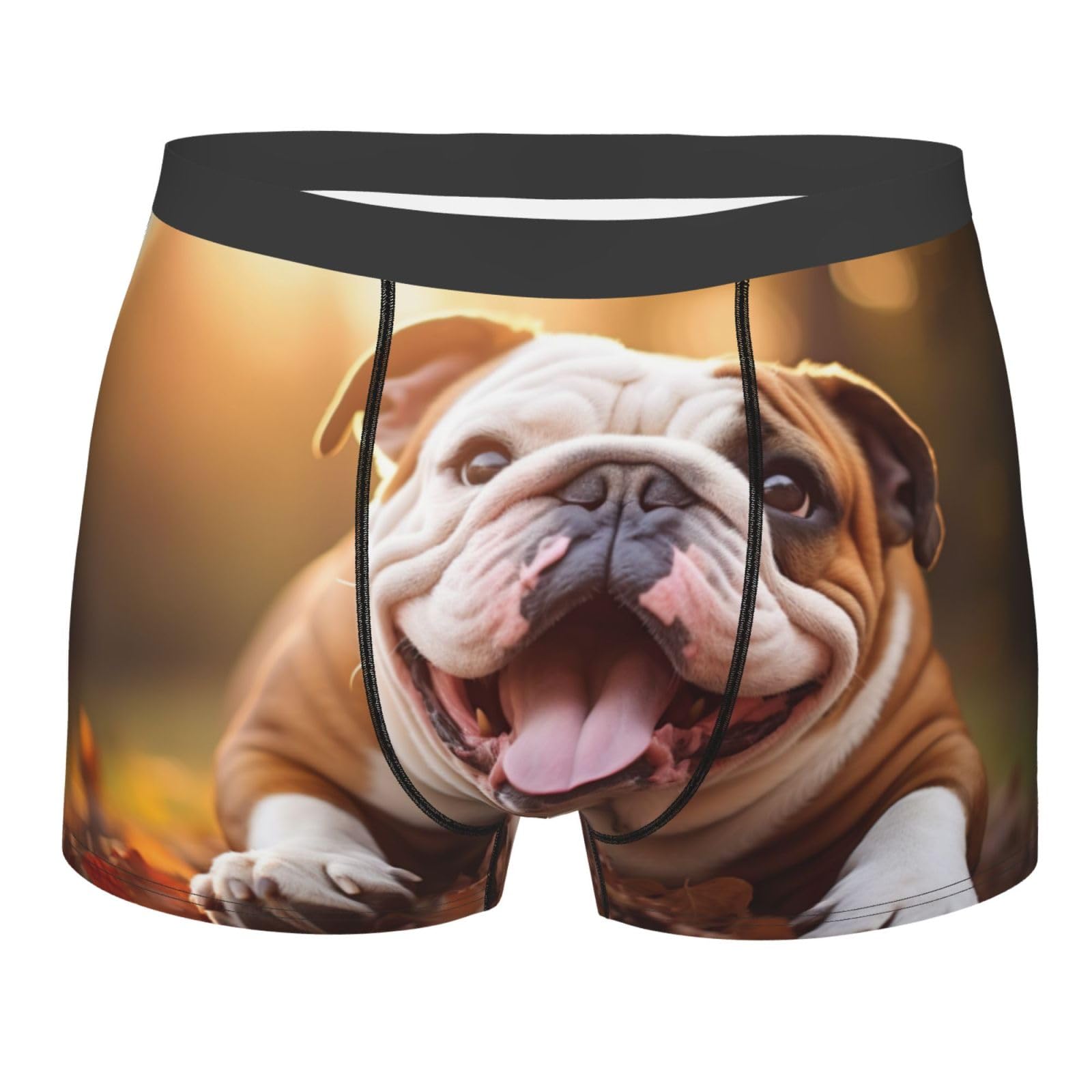 LEVNDIEJ Funny English Bulldog Print Men'S Boxer Briefs,Moisture Wicking Breathable Cotton Underwear Comfort Flex Waistband, Black, L