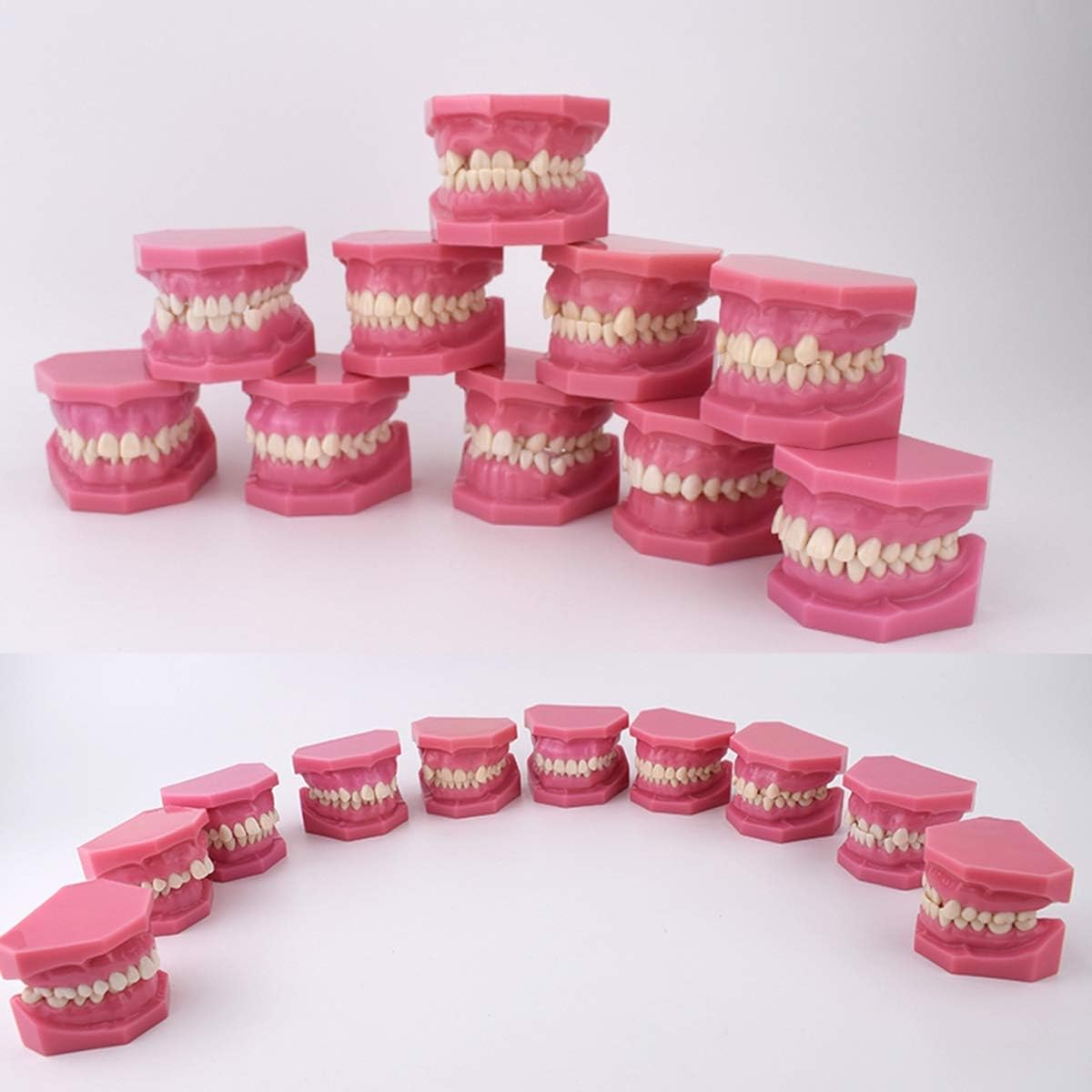Modelo de enseñanza de estudio de dientes adultos, modelo de demostración de clasificación de maloclusión, corrección de ortodoncia, modelo de anatomía de enseñanza dental, modelo de dientes dentales