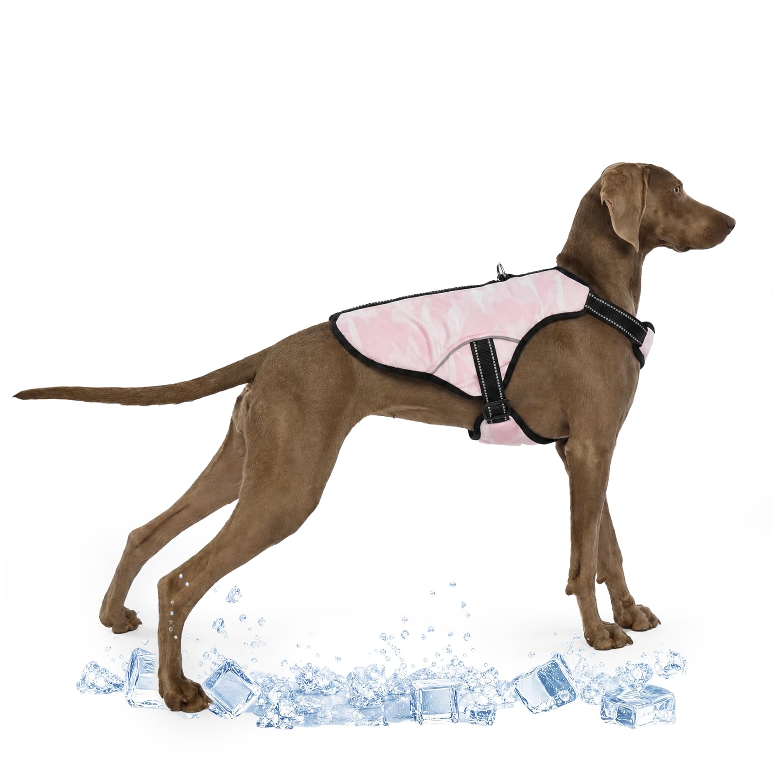 Chaleco de Refrigeración para Perros, Chaqueta de Hielo Reflectante de Verano Con Anillo en D (Rosa, XL)
