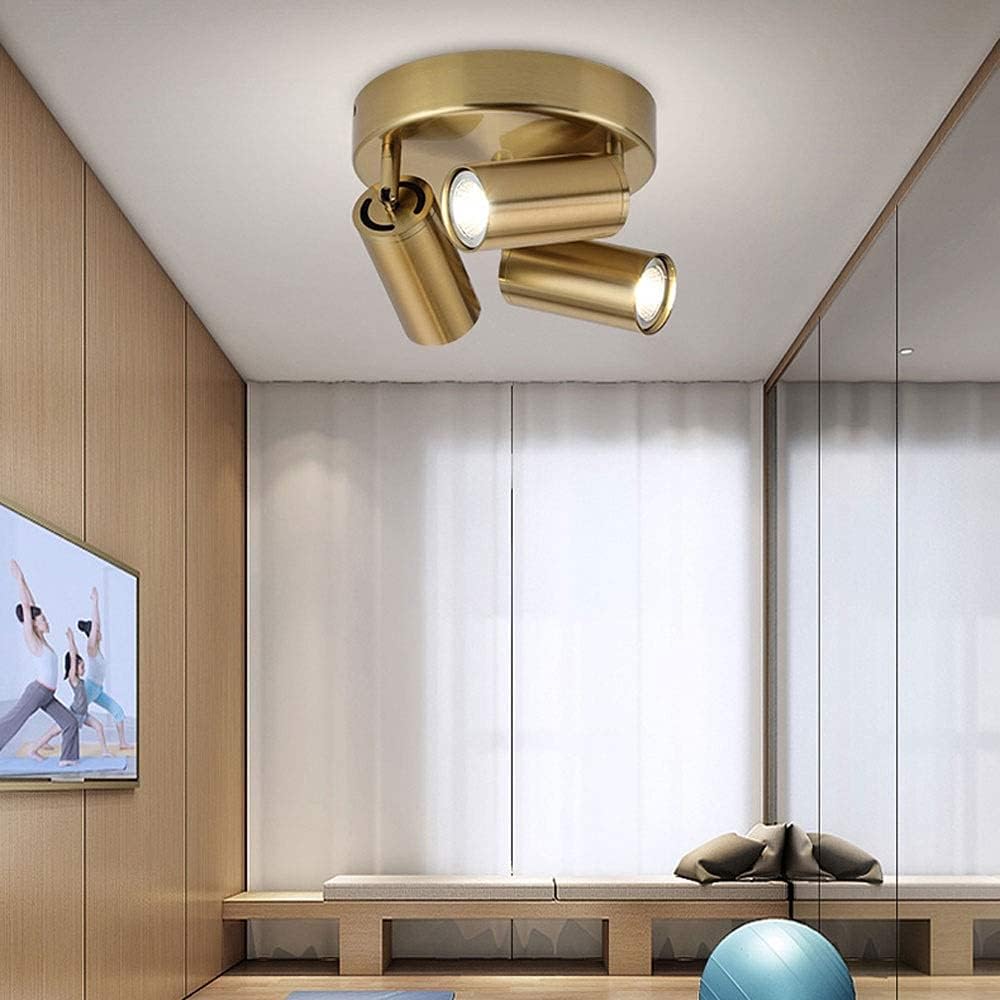 Spotlight，Modern Ceiling Spotlight, Directional Ceiling Mount Light Fixture, Adjustable 3 Head Accent Spot Light, Corridor Gallery Shop Round Ceiling Spotlights, Gu10 Track Lighting/Gold