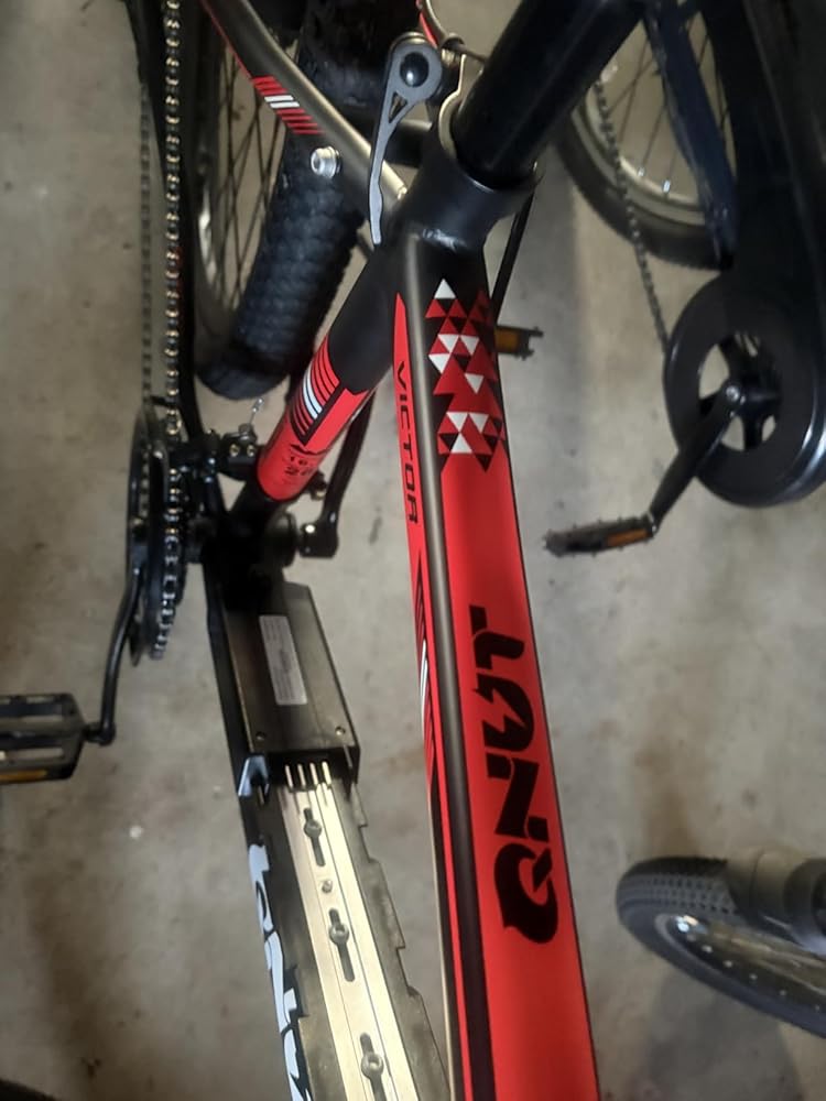 Victor Pro Electric Mountain Bike