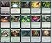 Commander Spider Deck - Golgari Black Green - EDH - Shelob - Lord of The Rings LOTR - 100 Card - Custom Magic The Gathering Deck - Very Strong!