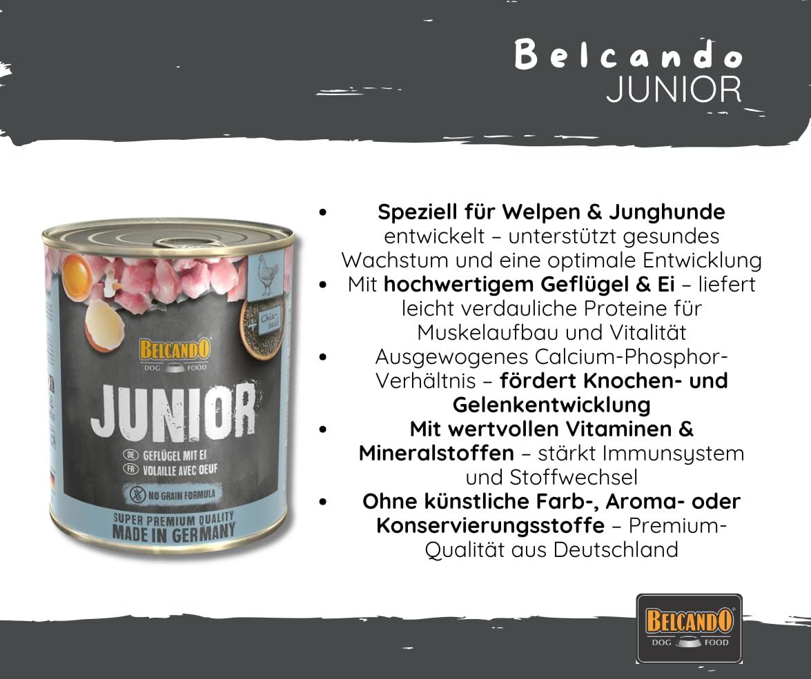 Belcando Junior Geflügel mit Ei 2x6x800g – Nassfutter für Welpen & Junghunde, hochwertiges Aufzuchtfutter mit Geflügel, schonend gegart - Hundefutter Bundle/Sparpaket - Made in Germany