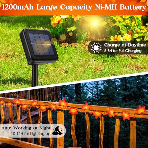 Reyeeinc RY24025 Fall Solar Lights Outdoor Decorative thumb #1