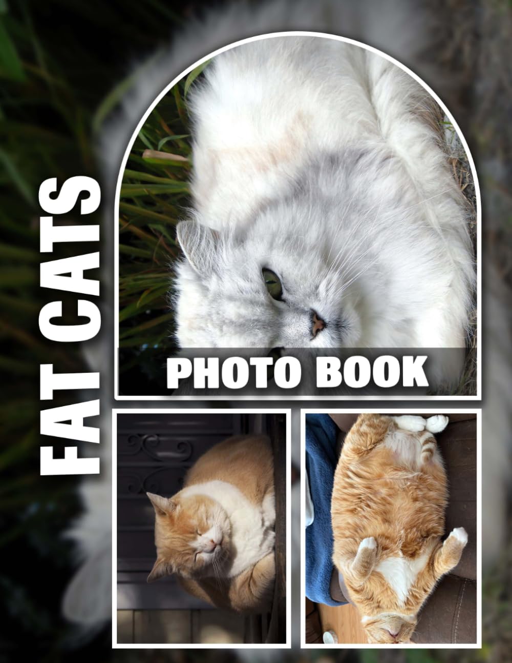 Fat Cats Photo Book: Adorable Overweight Felines Captured in Hilarious Images | Perfect Gift for Cat Lovers and Those with a Sense of Humor