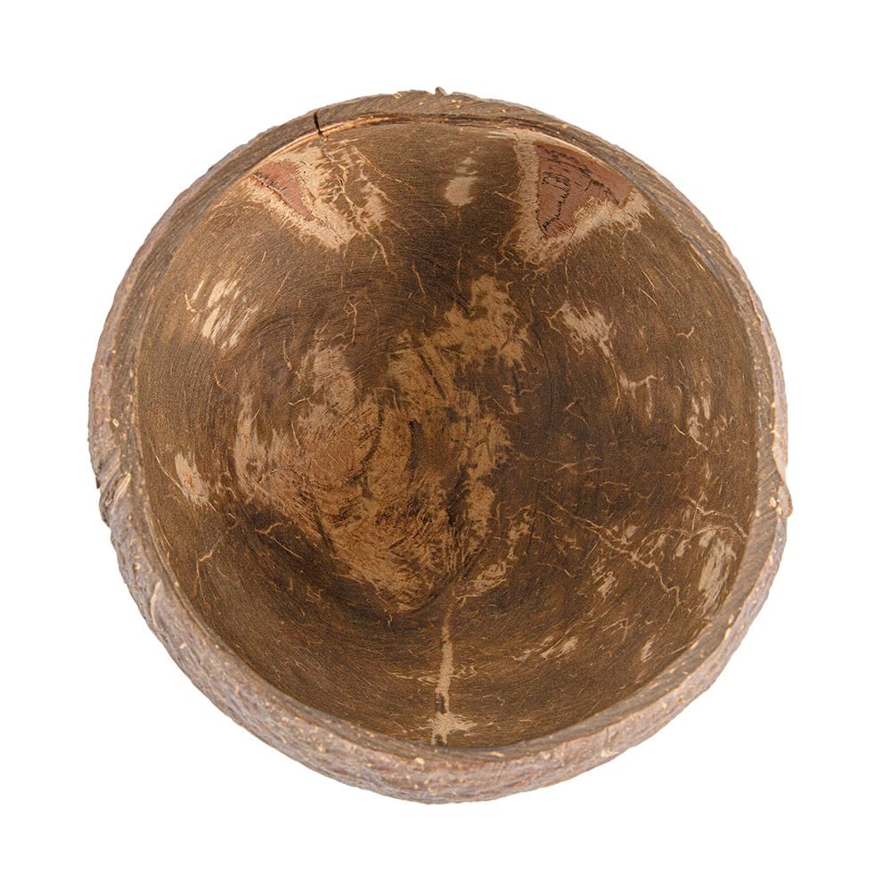 Garcia de Pou 5 Stück, Schüsseln, 200 ml, Ø 9 x 6 cm, natürliche Kokosnuss