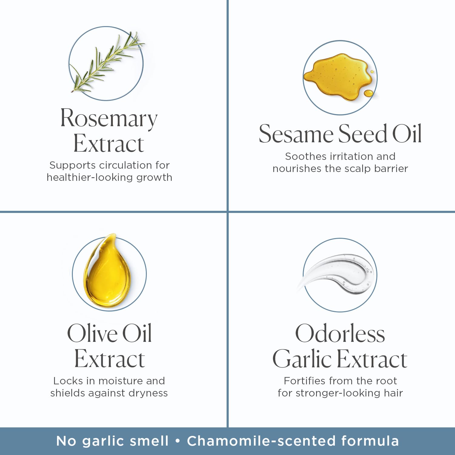 Nora Ross Garlic Extract Hair Strengthening Shampoo – Thickening Shampoo for Women and Men with Normal to Dry, Thinning Hair – All Natural Anti-Dandruff and Scalp Cleanser with Rosemary – 32oz - Image 4