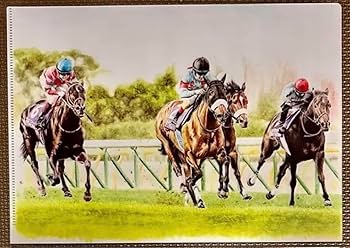 競馬グッズ　クリアファイル23枚　競馬　JRA 競馬グッズ クリアファイル23枚 競馬 JRA Amazon.co.jp: 競馬