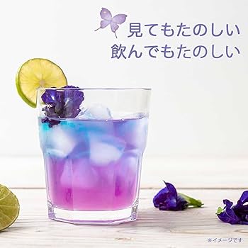 Amazon | 伊藤園 バタフライピーティー 500ml×24本 カラー