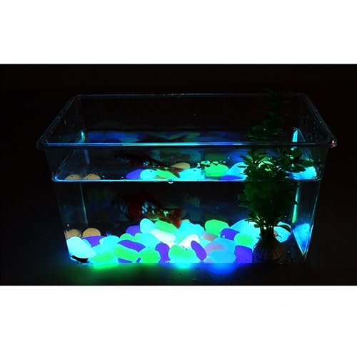 1000 piedras brillantes que brillan en la oscuridad, piedras de jardín, piedras para decoración de interiores y exteriores, piedra luminosa para