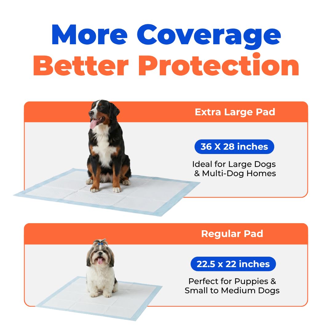 Best Pet Supplies Assorbenti usa e getta per cuccioli e cani da addestramento, confezione da 100, ultra assorbenti, resistenti alle perdite e senza traccia, per animali domestici al coperto,