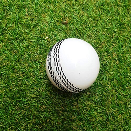 Image of i10 T20 Cricket Ball - Silicone - Wind - sRubber Mix, Durable Training & Match Play, Lightweight 1 lb, Multi-Layer Construction, Lasts 150 Overs (White /Red)