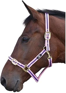 Hy Soft Webbing Head Collar(Pink/Purple, Pony)