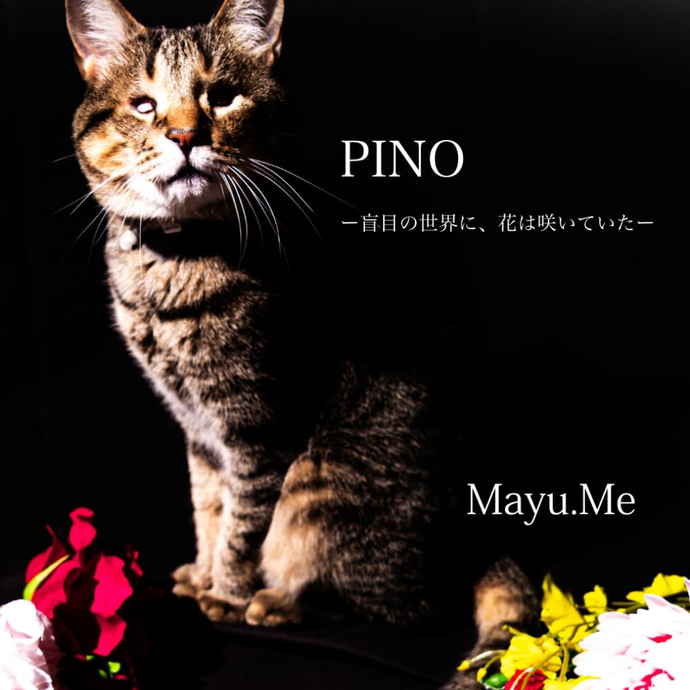PINO: ー盲目の世界に、花は咲いていたー