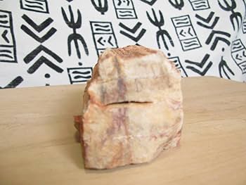 Amazon | 珪化木木の化石非研磨大きさ約12x7．3x6