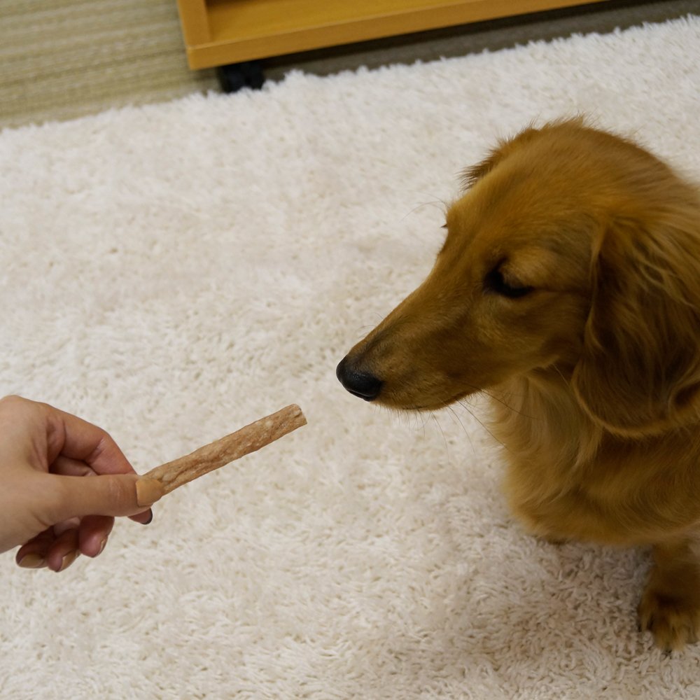 Amazon.co.jp: ドギーマン 食べやすいホワイデントスティック S 22本×3