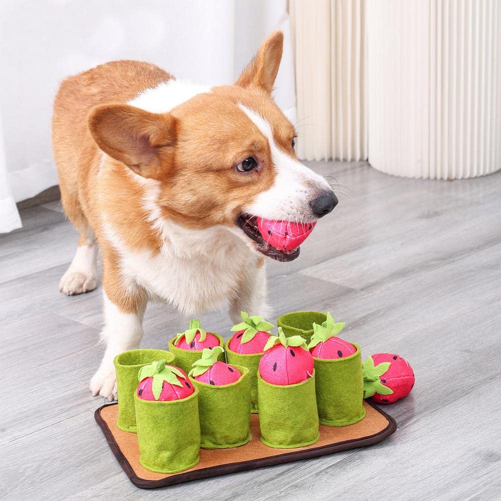 Almohadilla De Trabajo para Alimentación De Nariz De Fresa para Perros Y Mascotas, Juguete Educativo Interactivo para Perros Lento Y