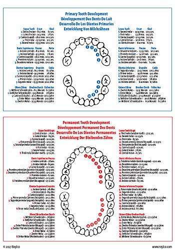 dental x-rays