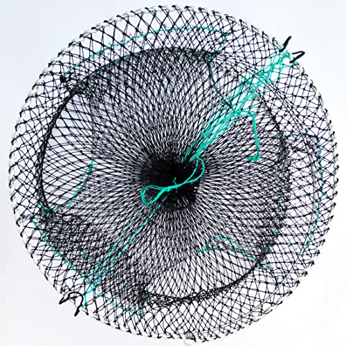 Best Bait for Lobster A Guide to Catching More Lobster